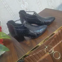 سالن کیف و کفش نو