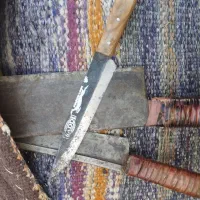 حیوانات (قصاب 20سال سابقه کار)