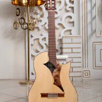 گیتارهای طرح خاص Accent