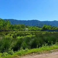 1000 زمین با پروانه ساخت در مکانی بکر و زیبا