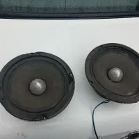 میدرنج سالم