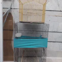 قفس پرنده