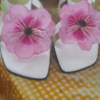 صندل مجلسی خارجی نو