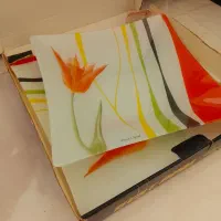 ظرف آرکوپال میوه خوری و شیرینی خوری