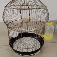 قفس بزرگ