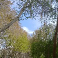 فیلم برداری و عکاسی