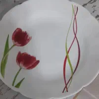 آرکوپال