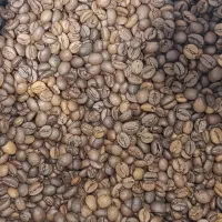 پخش قهوه