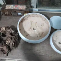 دو عدد گلدان