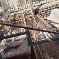 میز میوه فروشی فلزی 5عدد