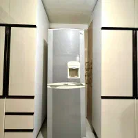 یخچال سالم با رنگی خاص