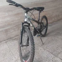 دوچرخه ویوا اصل تایوان