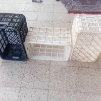 سبد گوجه