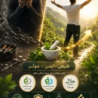 ترک سیگار در ۵ روز بدون بازگشت