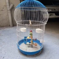 قفس پرنده با لوازم جانبی