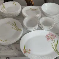 سرویس غذا خوری ارکوپال