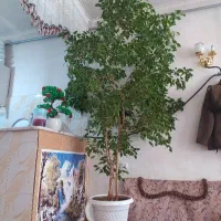فروش نقدی