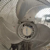 پنکه