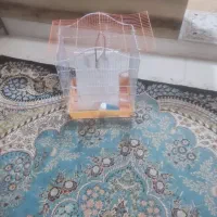 قفس پرنده