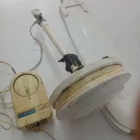 پنک سفقی