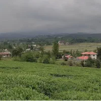 400-متر-مسکونی-چماچا-سقالکسار-دستخط-محله