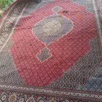 ۱۲متری