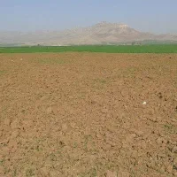 یک-هکتار-زمین-کشاورزی-آبی-اجاره-داده-میشود
