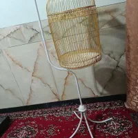 قفس بزرگ طلایی