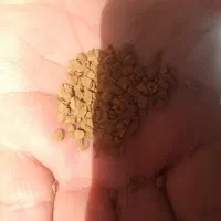 قهوه وارداتی به مناسبت ماه محرم