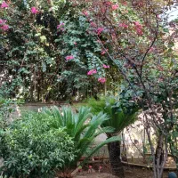 نیروی خدماتی