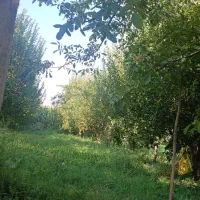 باغچه سیب  اجاره