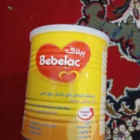 تعداد16تاهستن سالم وآکبند