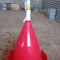 دان خوری وای خوری