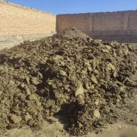 کود گوسفندی