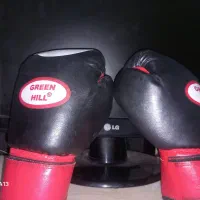 دستکش بوکس نو