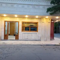 نیروی خانم نقاشی