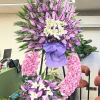 تاج گل طبیعی