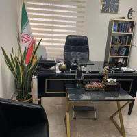 وکیل پایه یک دادگستری      (*مشاوره تخصصی رایگان )