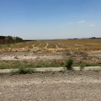 زمین-کشاورزی-گلخانه-ای-50-هزار-متری-بر-آسفالت