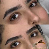 میکرو هلندی  ۱ میلیون هدیه+ فیشال