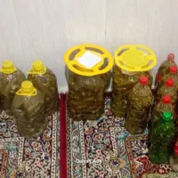 خیار شور ترد وتندطعمش خیلی خوبه