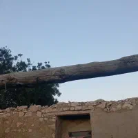 چوب تیر به فروش میرسد