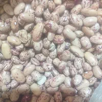 لوبیا چیتی درجه یک