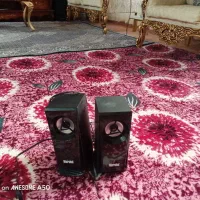 درحدنو|فیلم و موسیقی|تبریز, |دیوار