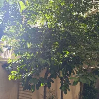 فروش-ویلایی-240-متری-22بهمن
