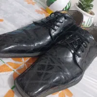 کفش|مجلات|تبریز, |دیوار