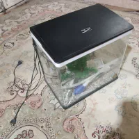 اکواریوم