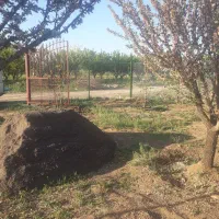 فنس کشی وقالب بندی وبتون ریزی