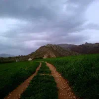 سرگرمی درطبیعت