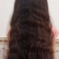صادر کننده اصلی مو